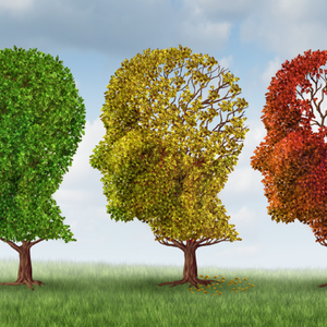 Marianne Chanti-Ketterl